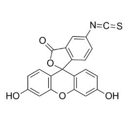 FITC-Chondroitinsulfatee,异硫氰酸荧光素标记硫酸软骨素
