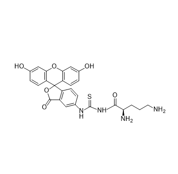FITC-ornithine,异硫氰酸荧光素-鸟氨酸