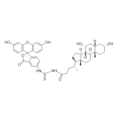 FITC-CDCA,异硫氰酸荧光素标记鹅去氧胆酸