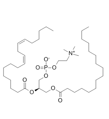 EggPC与蛋白质的相互作用及其对生物功能的影响
