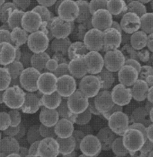 FA-Fe3O4纳米复合材料的制备及其在生物医学成像中的应用研究