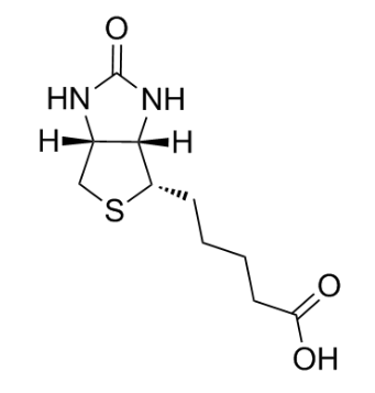 人参皂苷RB1-生物素  GinsenosideRB1-Biotin的产品衍生