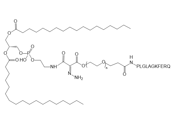 DSPE-hyd-PEG-PLGLAGKFERQ,二硬脂酰基磷脂酰乙醇胺-腙键-聚乙二醇-PLGLAGKFERQ肽
