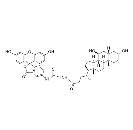 FITC-UDCA,异硫氰酸荧光素-熊去氧胆酸