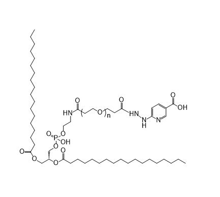 DSPE-PEG-6-Hydrazinonicotinic Acid,二硬脂酰基磷脂酰乙醇胺-聚乙二醇-6-肼基烟酸