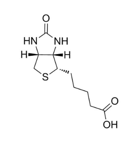 生物素修饰金纳米颗粒（40纳米）在生物成像领域的应用