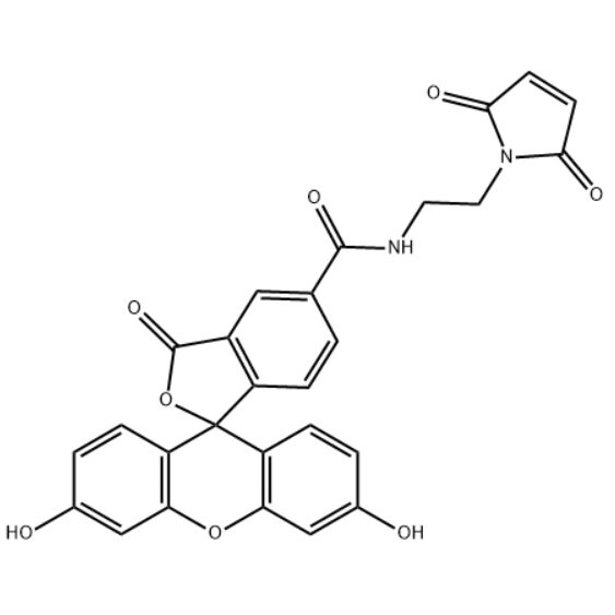 FAM-Mal荧光标记技术助力生物分子动力学过程的研究
