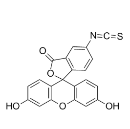 FITC-Hyaluronate-C16,异硫氰酸荧光素标记透明质酸-C16