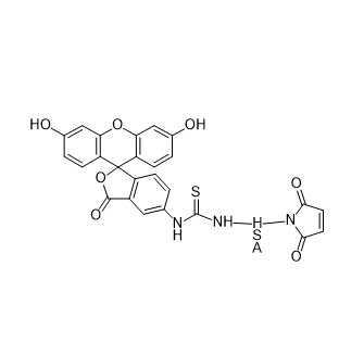 FITC-HSA-MAL,异硫氰酸荧光素标记人血清白蛋白-马来酰亚胺
