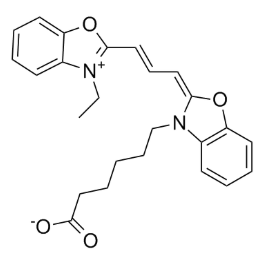 Cy2 氰基荧光素2 CAS：260430-02-2的化学结构特征