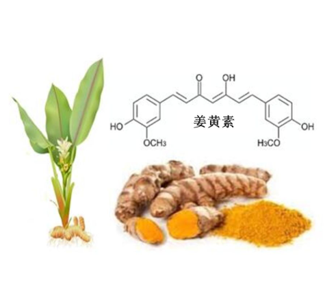 Carboxylated Curcumin 羧基化姜黄素的结构式分析