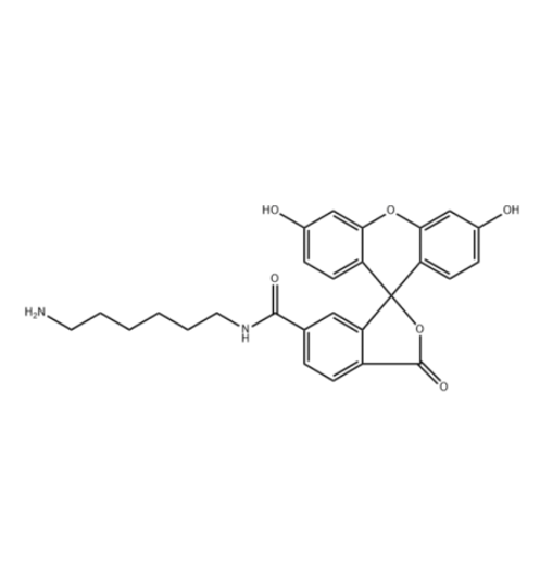FAM-NH₂在环境微生物检测与分析中的荧光标记应用