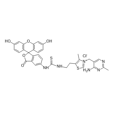 FITC-thiamine,异硫氰酸荧光素-硫胺素