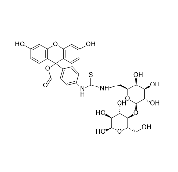 FITC-lactose,异硫氰酸荧光素标记乳糖