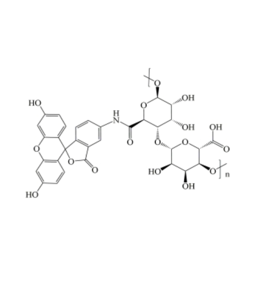 FITC-Alginate的荧光稳定性研究：pH、温度及离子强度的影响机制​