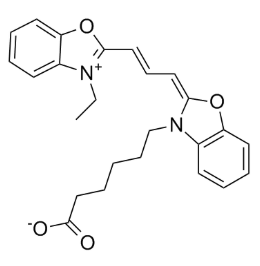 CY2-COOH 花菁染料CY2-羧基面临的一些挑战
