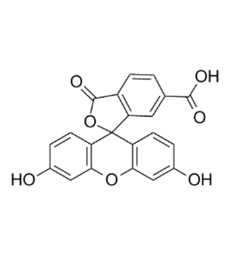从结构到功能：5-羧基荧光素化学特性对其生物应用的影响