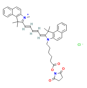 Cy5.5-NHS Cy5.5荧光染料-N-羟基琥珀酰亚胺的应用方向  
