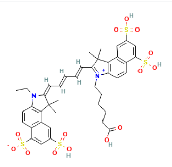 Cy5.5-LPS（脂多糖）的物理化学性质介绍  