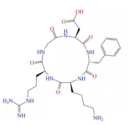 cRGD@PLGA-Fe3O4/Ferulic Acid的结构式分析