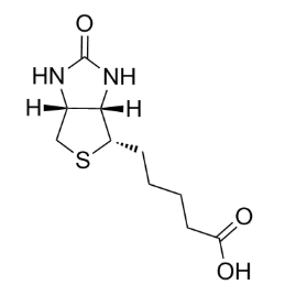 Biotin结构式