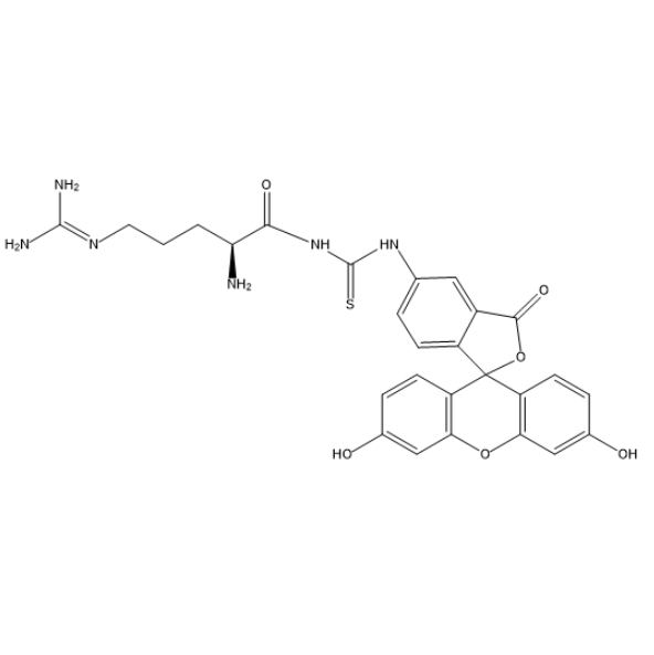 异硫氰酸荧光素-精氨酸的荧光稳定性研究：光照、温度及生物酶解条件下的性能评估
