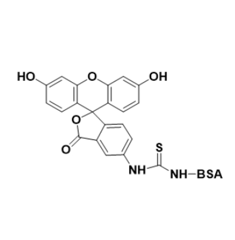 异硫氰酸荧光素标记牛serum白蛋白在蛋白质定位和分析中的应用