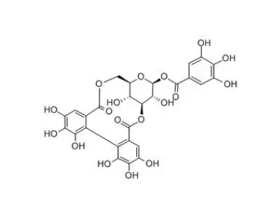 Corilagin-BIO 柯里拉京-生物素的系列产品