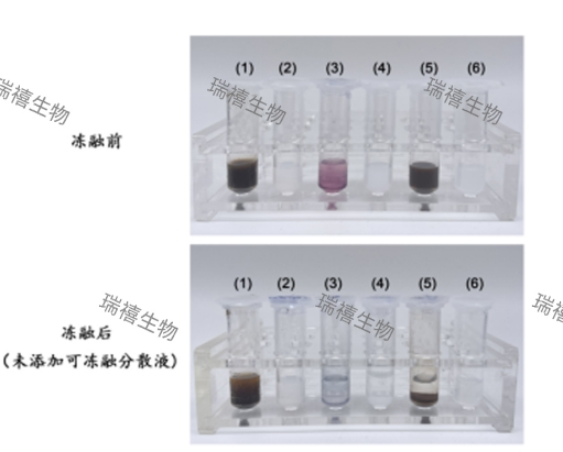 可冻融分散液