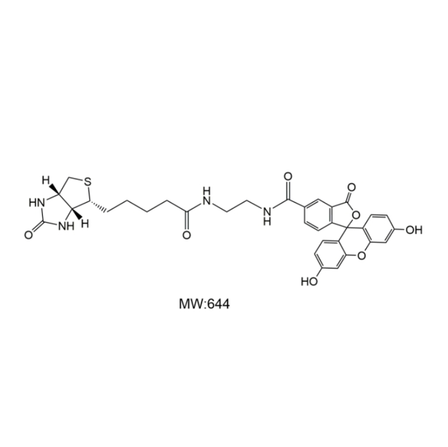 荧光素-生物素标记的纳米颗粒在细胞内吞研究中的应用