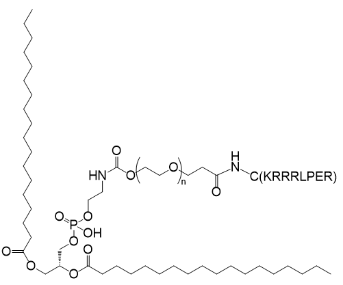 DSPE-PEG-C(KRRRLPER),二硬脂酰基磷脂酰乙醇胺-聚乙二醇-C(KRRRLPER)肽