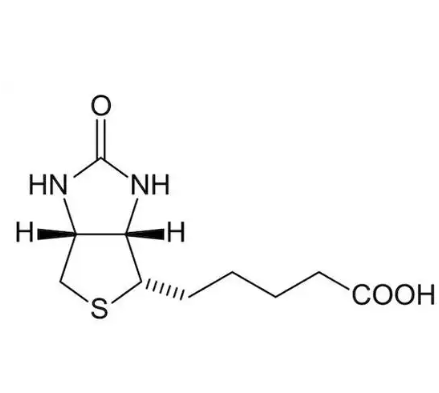 柯里拉京修饰生物素 Corilagin-BIOTIN的科研应用