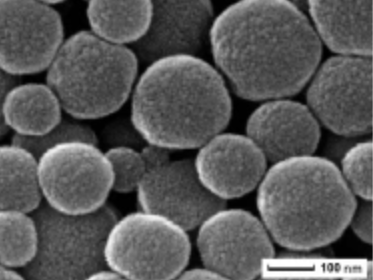 100 纳米壳聚糖微粒 壳聚糖纳米粒（100NM）