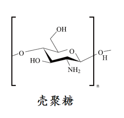 CS-GUA 胍基改性壳聚糖 壳聚糖-胍基