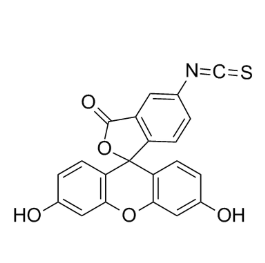 FITC-Polyacrylamide,异硫氰酸荧光素-聚丙烯酰胺