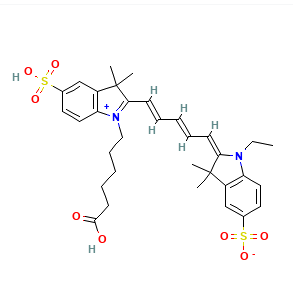 CY5-Avidin CY5-亲和素的化学偶联法及桥接法制备 