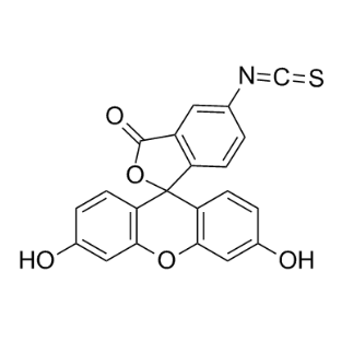 异硫氰酸荧光素-多肽作为荧光探针在细胞内钙离子浓度动态监测中的应用
