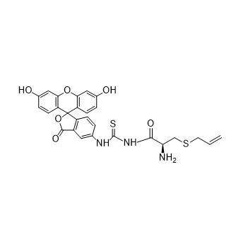 FITC-S-allyl-l-cysteine,异硫氰酸荧光素标记 S-烯丙基-L-半胱氨酸