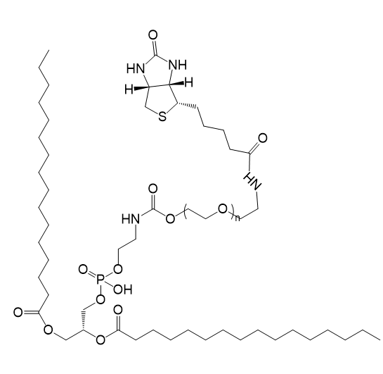 二棕榈酰磷脂酰乙醇胺-聚乙二醇-生物素介导的生物分子标记与固定方法研究