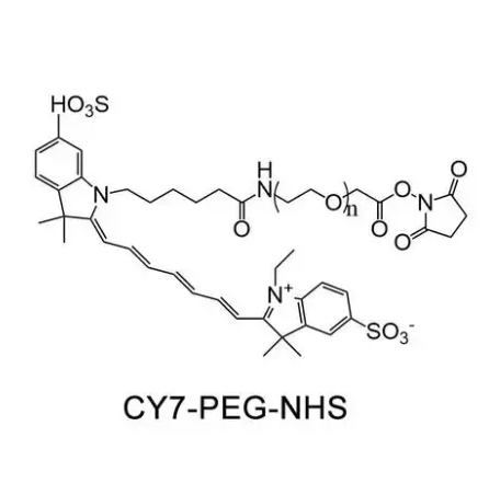 CY7-PEG-NHS的应用领域及示例介绍  