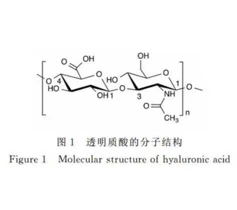 CS-PEG-HA 壳聚糖-聚乙二醇-透明质酸水凝胶的作用原理
