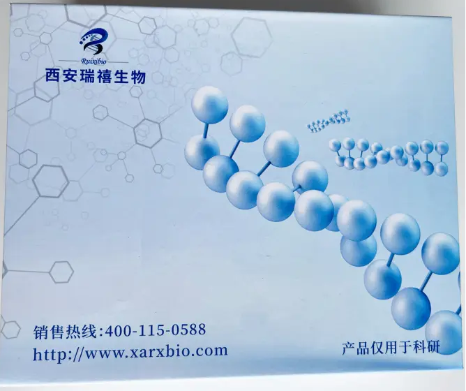荧光标记抗体/蛋白试剂盒