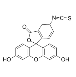 FITC-β-glucan,异硫氰酸荧光素-β-葡聚糖