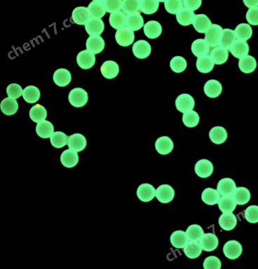 绿色荧光二氧化硅（10um）  绿色荧光SiO₂微球（10μm）的性能优势