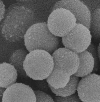 金纳米颗粒（30nm）  Gold Nanoparticles,Au（30nm）的外观及溶解度