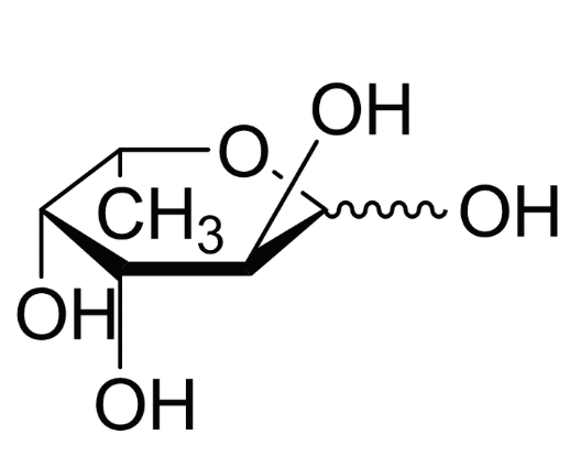 L-Fucose-PEG2K-CS L岩藻糖-聚乙二醇2000-壳聚糖 L-Fucose-PEG2000-CS