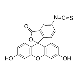 FITC-SiO2,异硫氰酸荧光素-二氧化硅纳米粒子