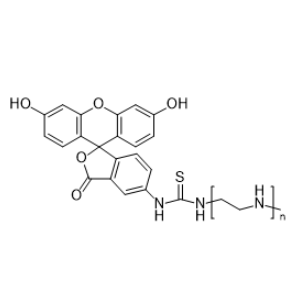 异硫氰酸荧光素-聚乙烯亚胺的荧光性质与生物学活性研究