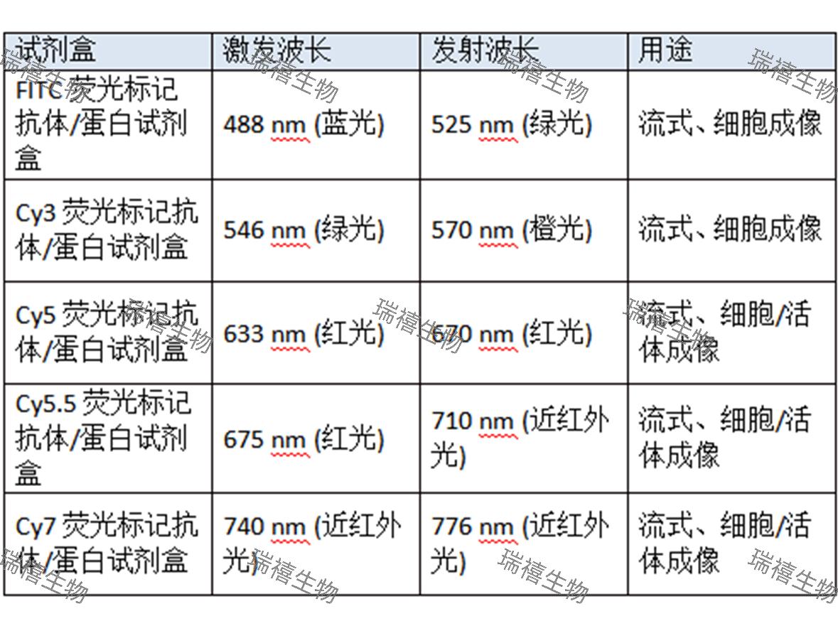 便捷的科研利器——荧光标记抗体/蛋白试剂盒