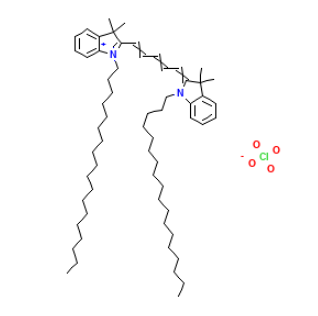 DID 探针Cas：127274-91-3的荧光特性及作用机制